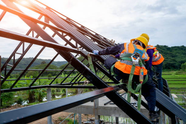 Gutter Installation and Roofing in Nicholls, GA