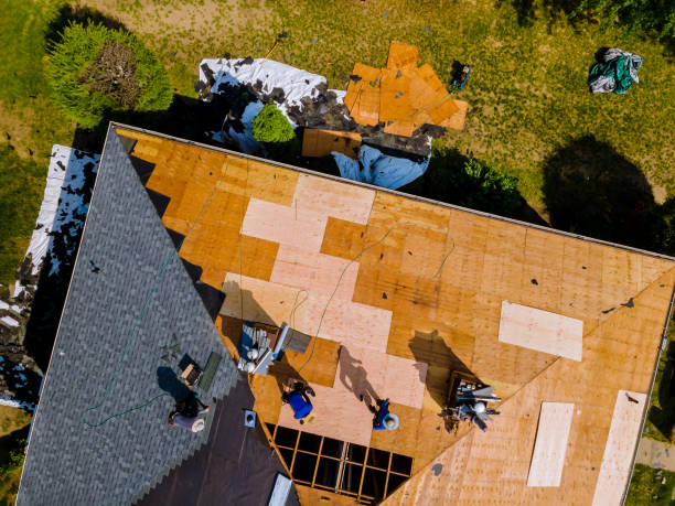 Best New Roof Installation  in Nicholls, GA