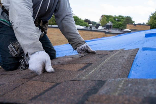 Best Flat Roof Repair Services  in Nicholls, GA