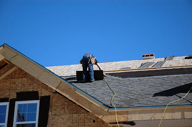 Best Metal Roofing Contractor  in Nicholls, GA