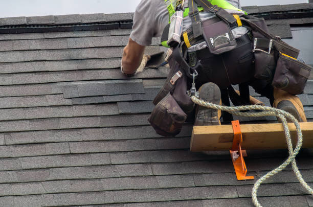 Best Storm Damage Roof Repair  in Nicholls, GA
