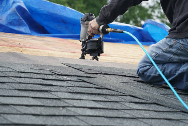 Best Gutter Installation and Roofing  in Nicholls, GA