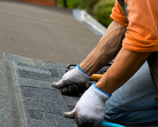 Roof Waterproofing Services in Nicholls, GA